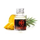Orange Lion - Dampflion Aroma - 20ml