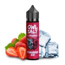 Strawberry Ice - 10ml Longfill-Aroma f. 60ml - OWL Salts...