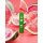Watermelon (Indica) - ULTRA 93% HHC Einweg Vape - OnlyGrams